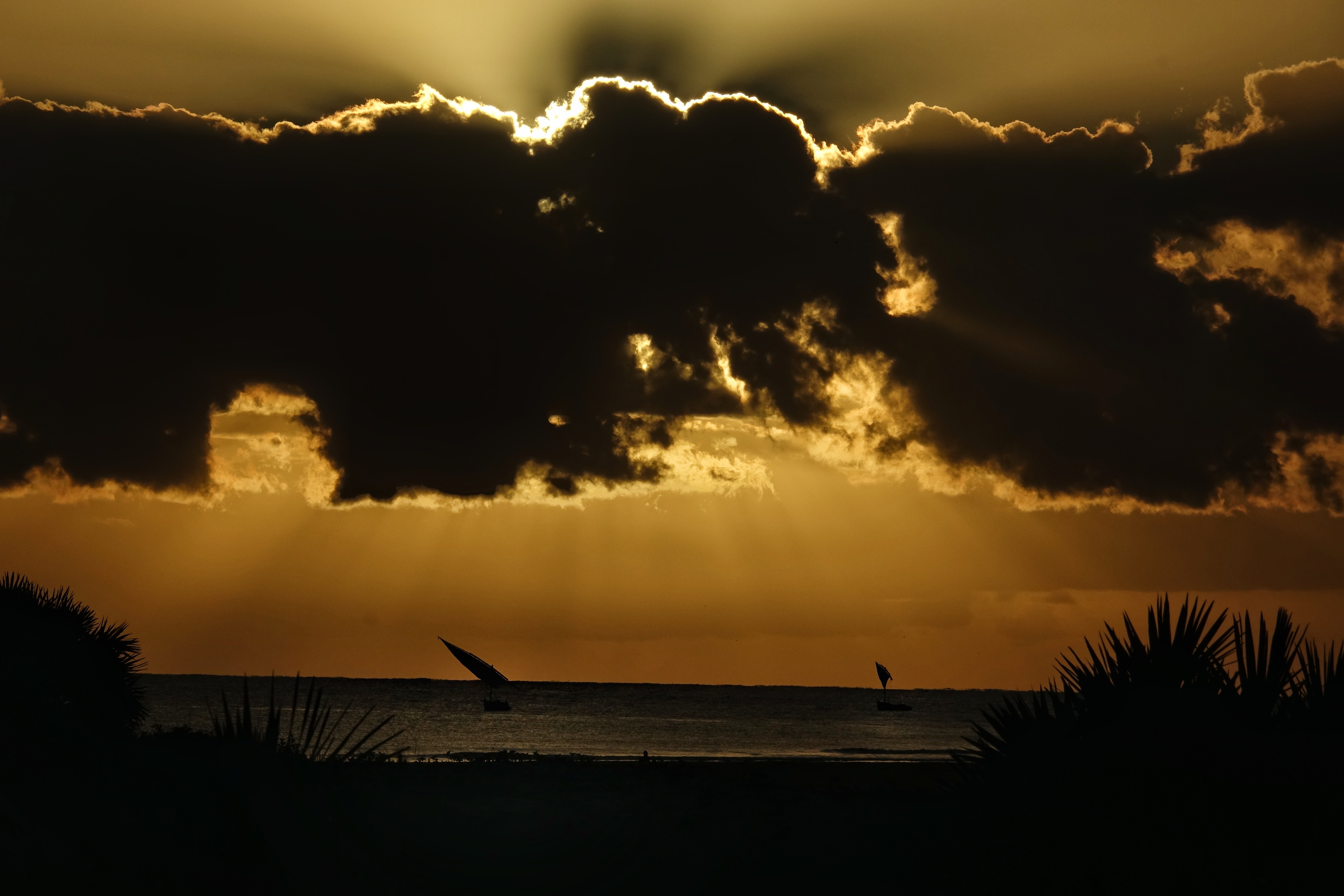 Ciel doré sur la côte